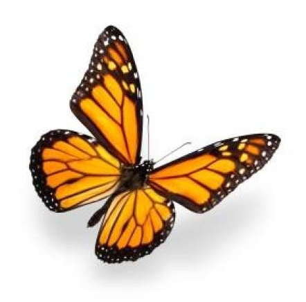 life is beautiful logo